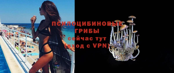 стаф Краснослободск