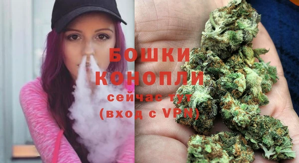 стаф Краснослободск