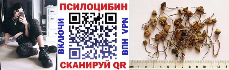MEGA ONION  даркнет сайт  Могоча  Псилоцибиновые грибы MAGIC MUSHROOMS 