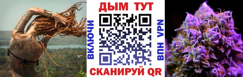 Конопля OG Kush  продажа наркотиков  Могоча 